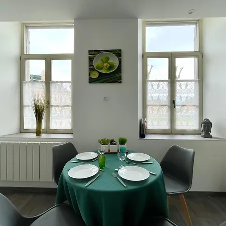 Lumineux Et Renove En Centre - Apt9 *